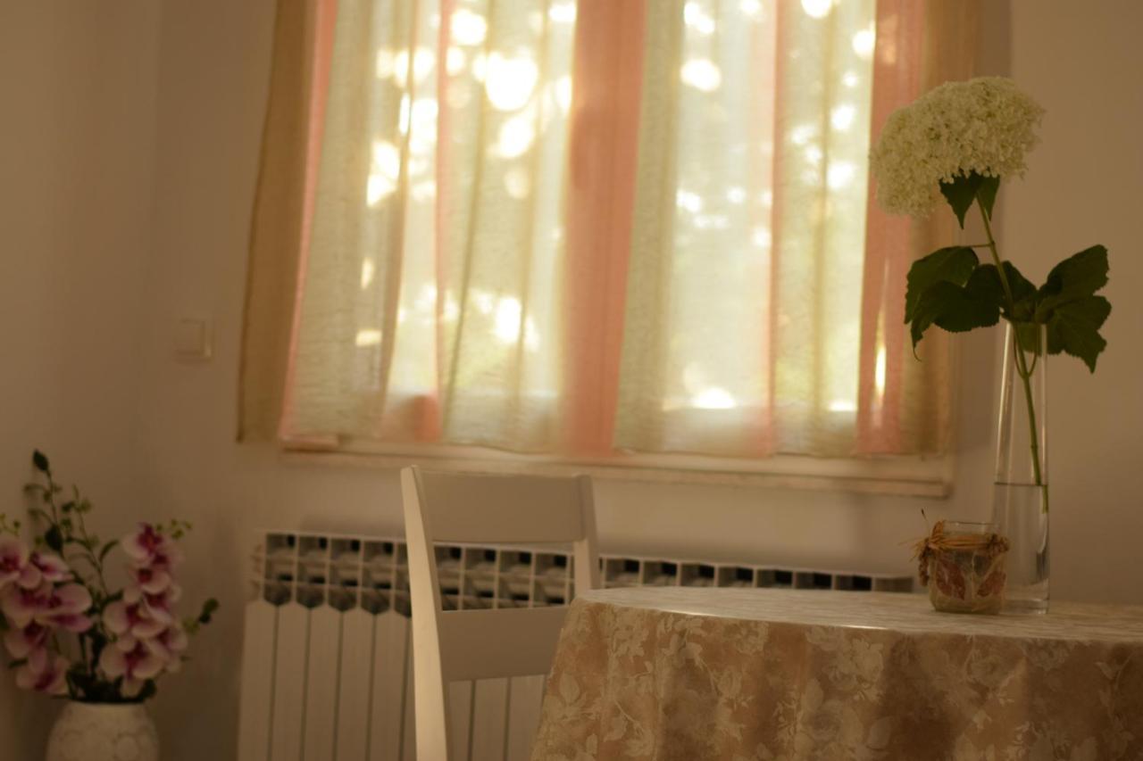 Studio Apartman Marina Vodice Dış mekan fotoğraf
