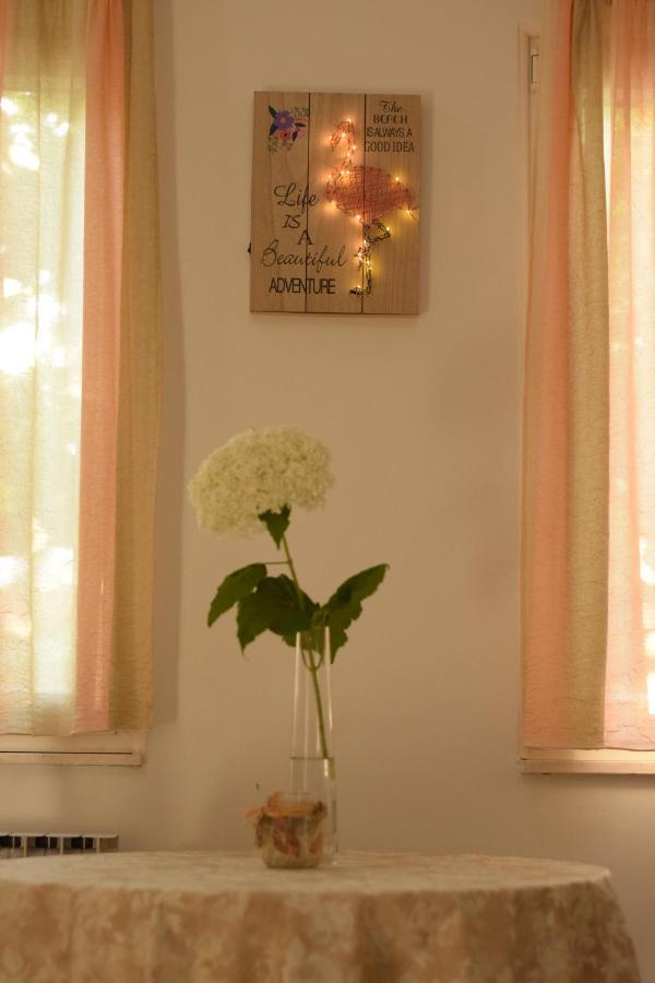Studio Apartman Marina Vodice Dış mekan fotoğraf