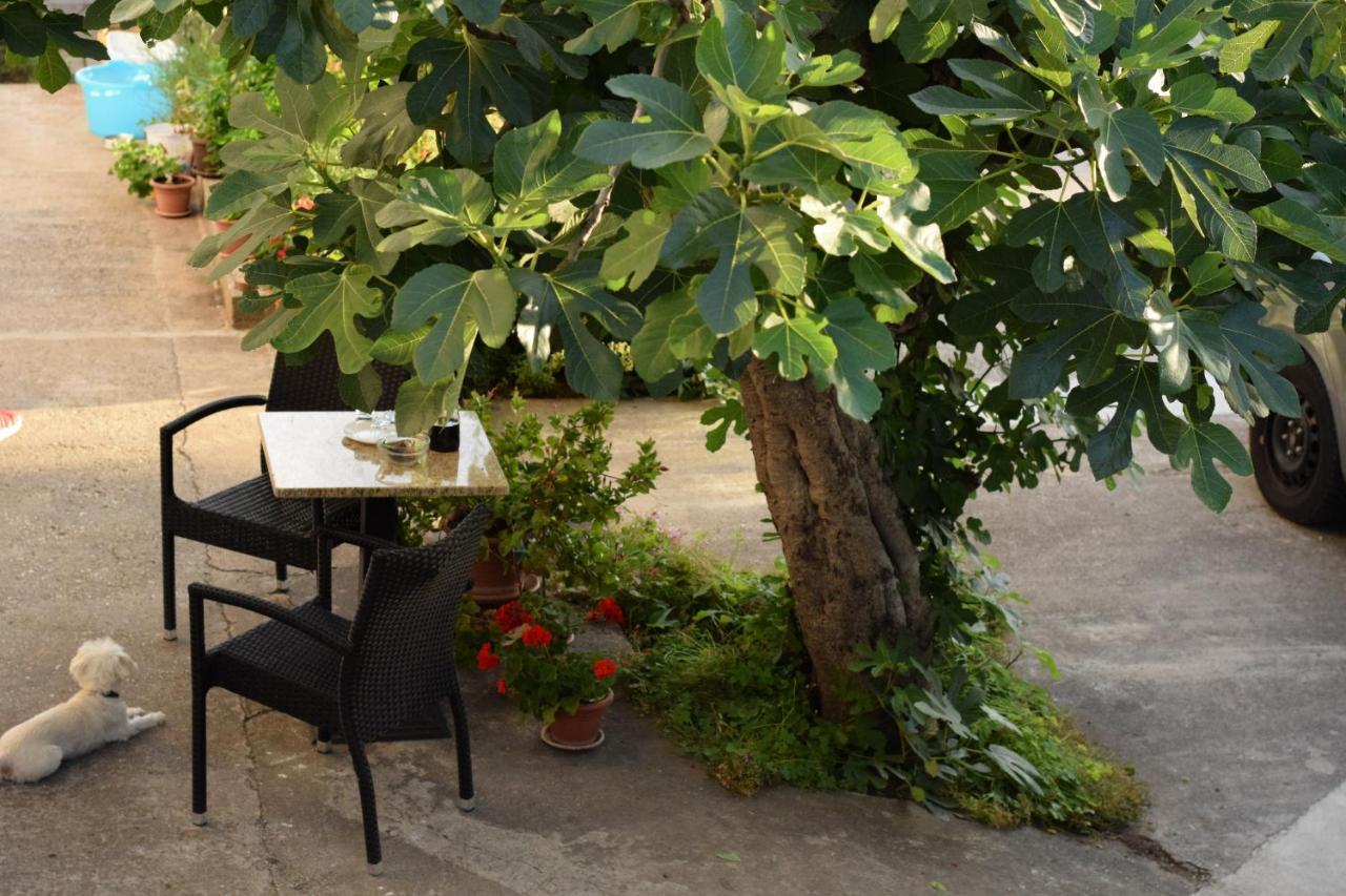 Studio Apartman Marina Vodice Dış mekan fotoğraf
