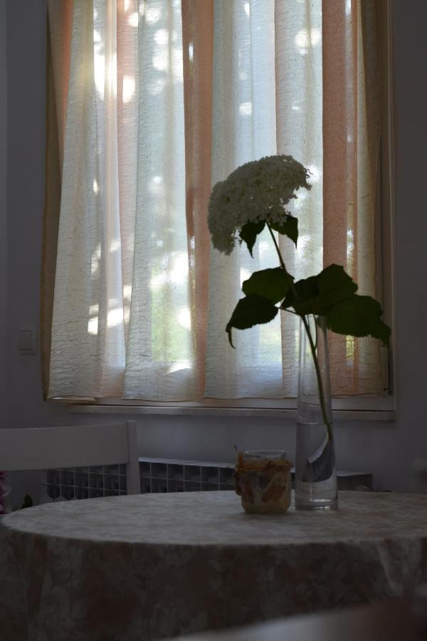 Studio Apartman Marina Vodice Dış mekan fotoğraf