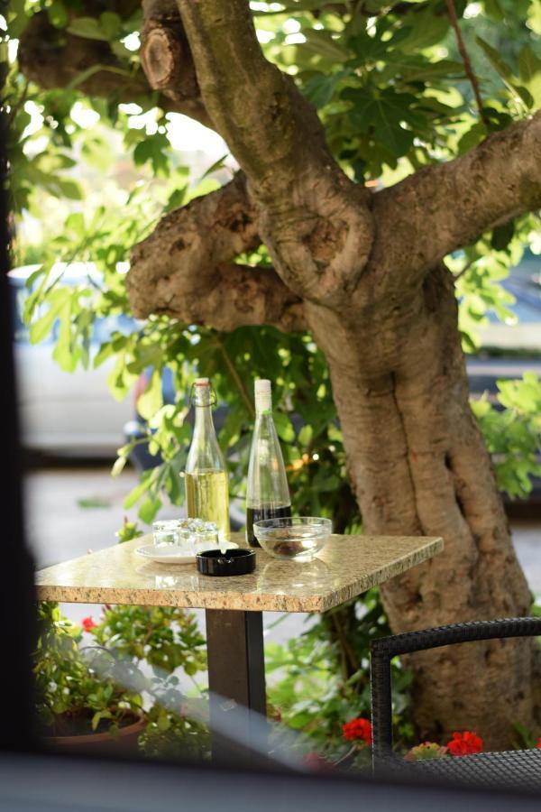 Studio Apartman Marina Vodice Dış mekan fotoğraf